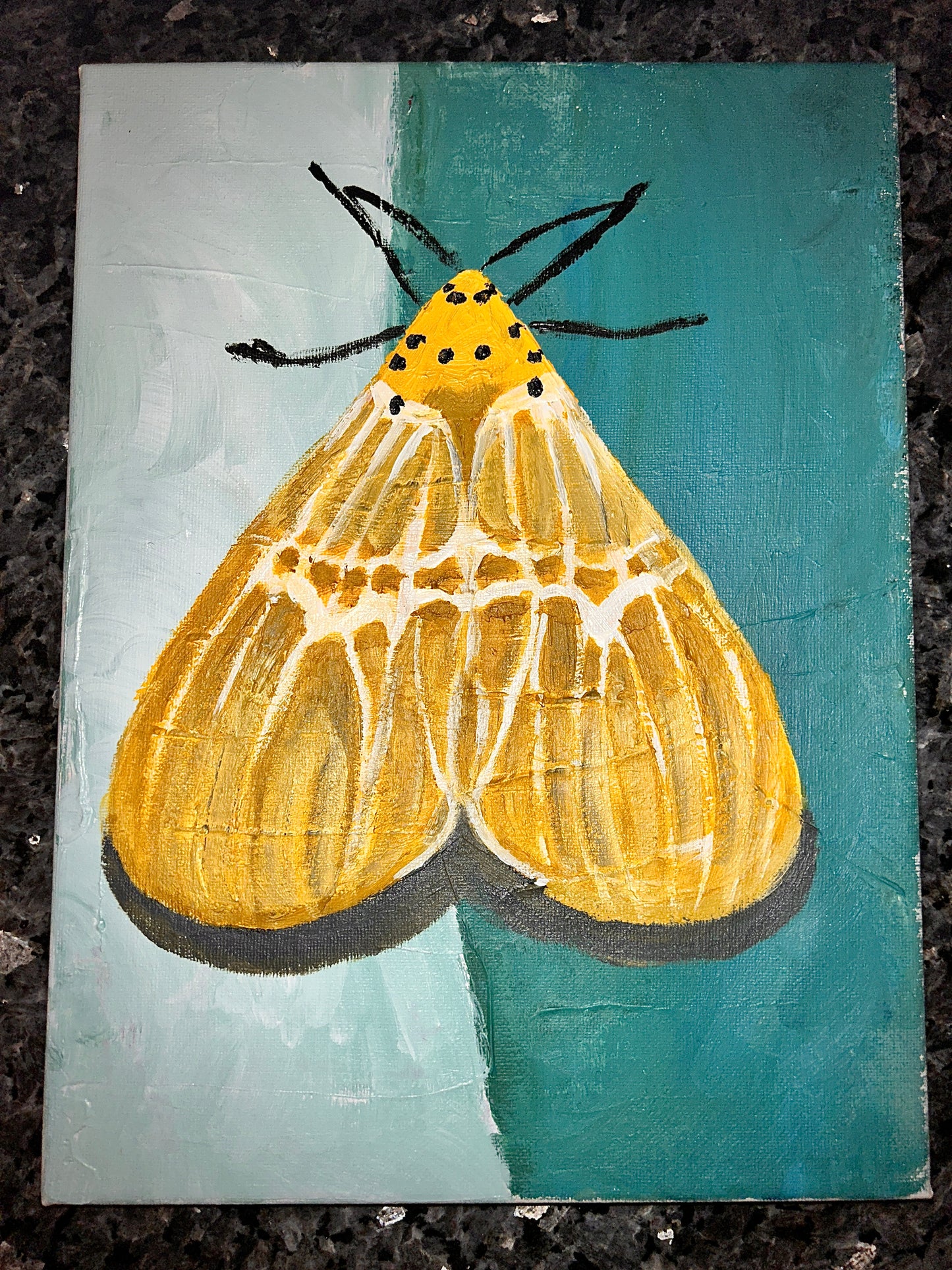 Moth in the light 9 x 12