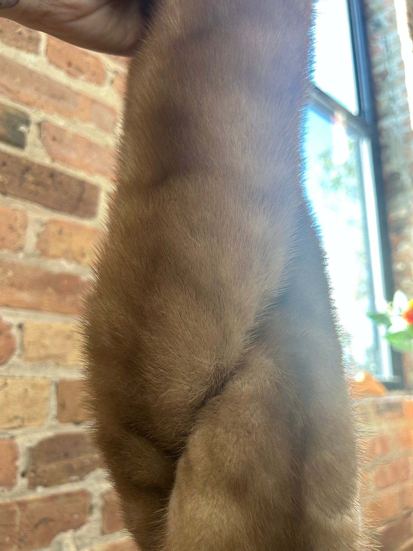 1950s Blonde Mink Fur Hat and Collar