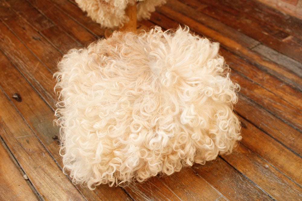 1960s RARE Mongolian Lamb Fur Cape with Matching Muff - O/S