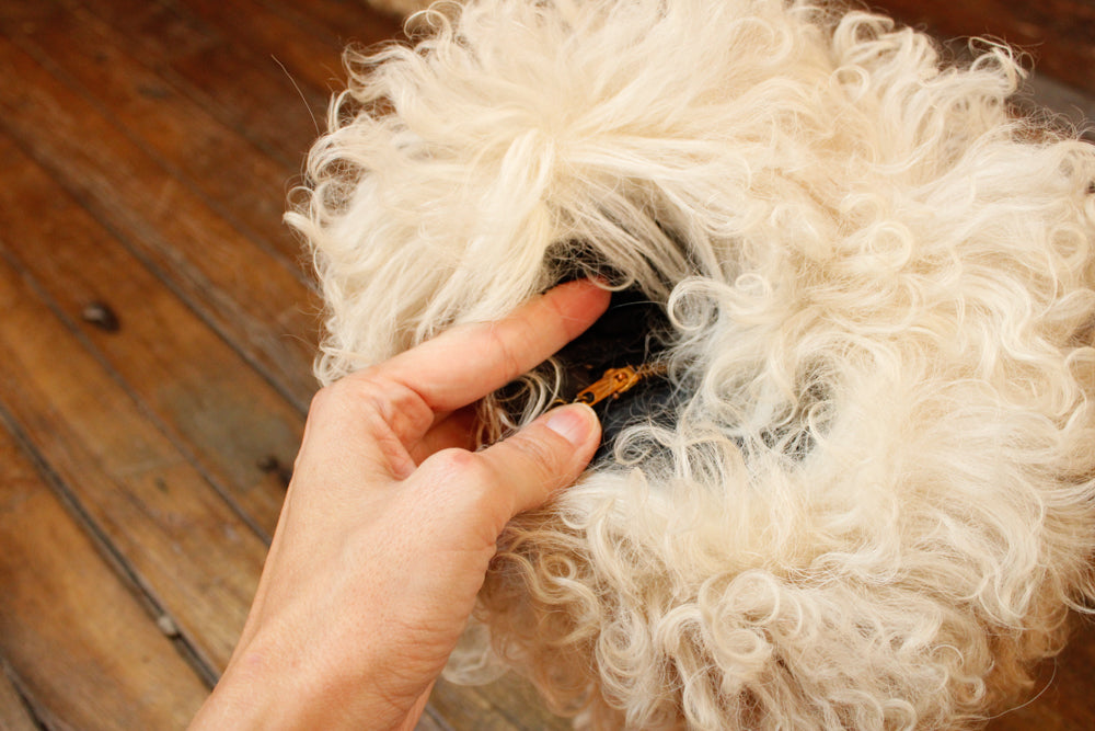 1960s RARE Mongolian Lamb Fur Cape with Matching Muff - O/S